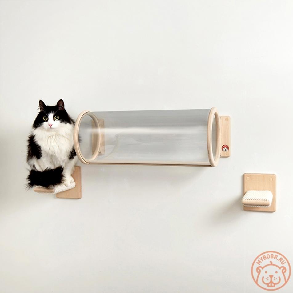 Настенный комплекс для кошек «Торрико руто»