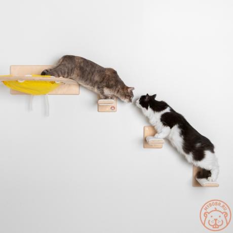 Настенный игровой комплекс для кошек «Уцукуси»