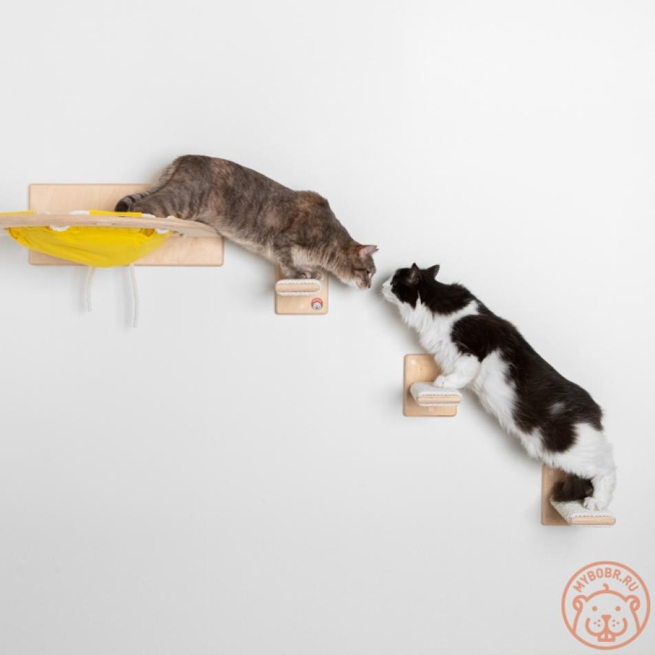 Настенный игровой комплекс для кошек «Уцукуси»