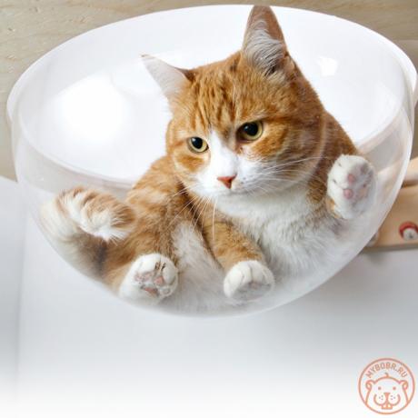 Гамак с прозрачной лежанкой для кошек - Тоумей