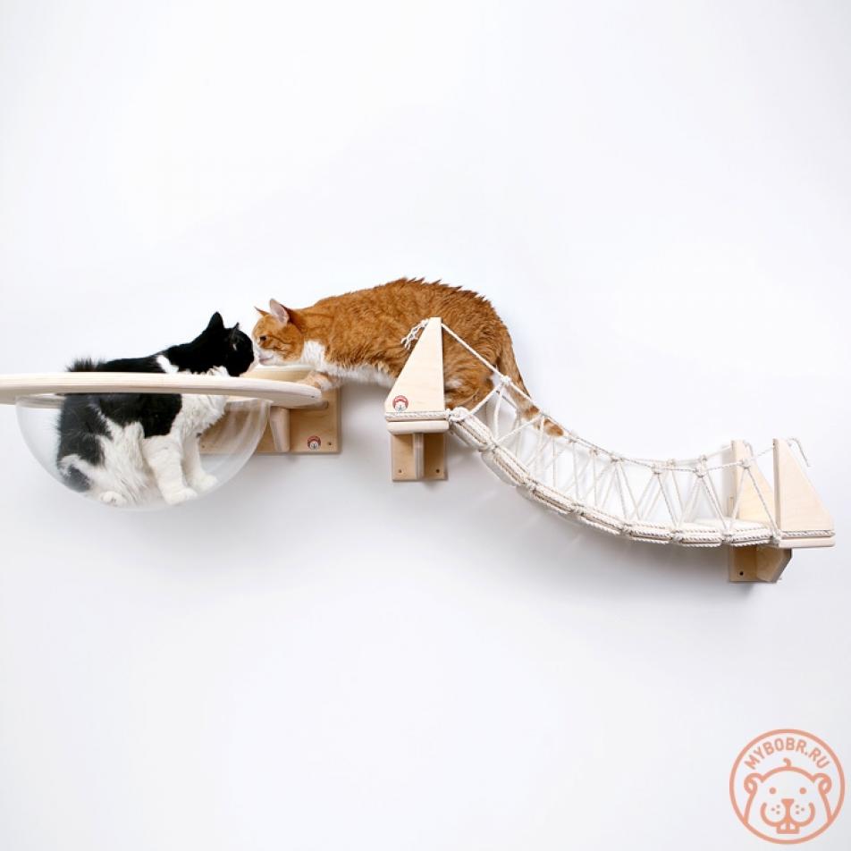 Настенный комплекс для кошек «Стратосфера»