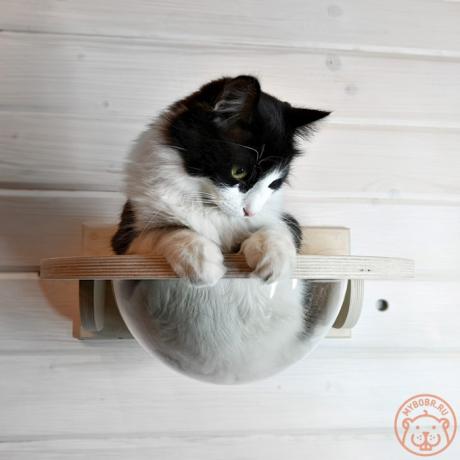 Гамак с прозрачной лежанкой для кошек Тоумей мини