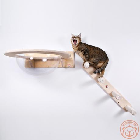 Настенный игровой комплекс для кошек «Юрикато»