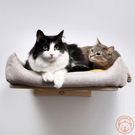 Полочка-лежанка настенная для кошек «Риоко»