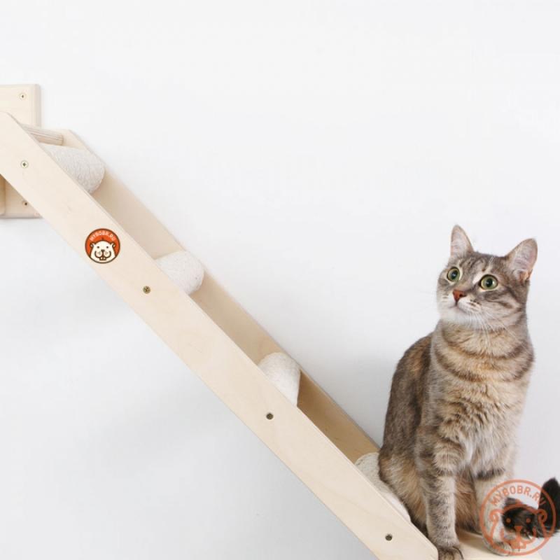 Настенная лесенка-когтеточка для кошек «Двойное совершенство»