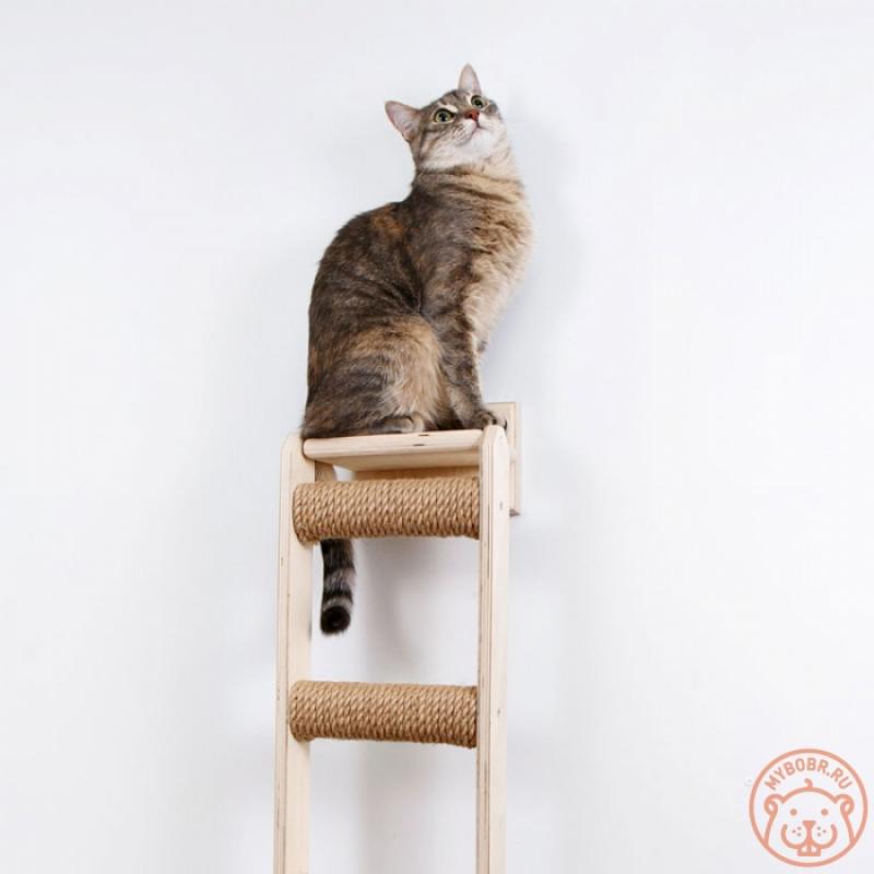 Настенная вертикальная лесенка-когтеточка для кошек «Тенномон»