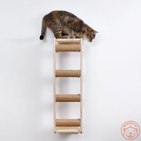 Настенная вертикальная лесенка-когтеточка для кошек «Тенномон»