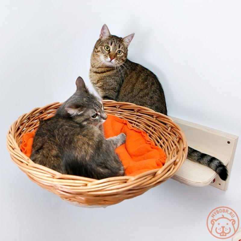 Гнездо лежанка для кошек настенная с флисовой мягкой подушечкой
