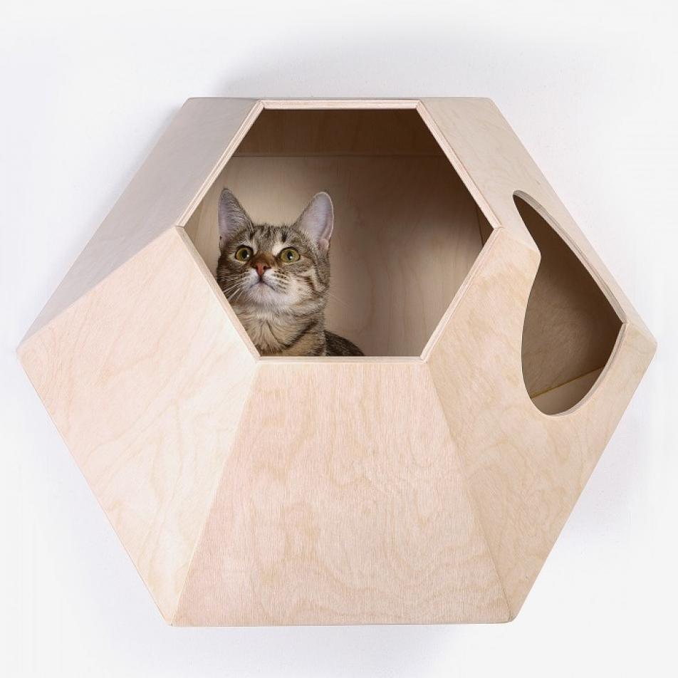 Домик для кошки на стену Лунокот-1, деревянный - купить в Саратове в  интернет-магазине VseKogtetochki.ru