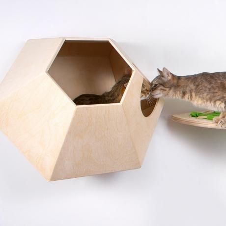 Домик для кошки на стену Лунокот-1, деревянный