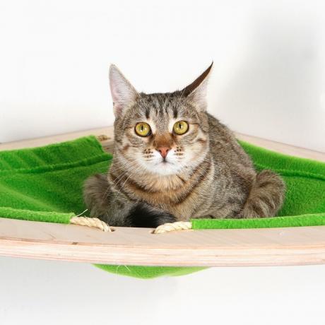 Гамак для кошки подвесной угловой Ханмокку