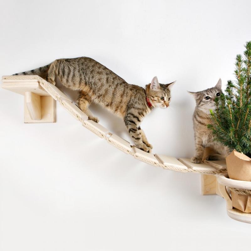 Мостик-лесенка подвесной на стену для кошки "Дорога к дому"