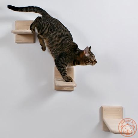 Комплект полочек-ступенек для кошек Достижение