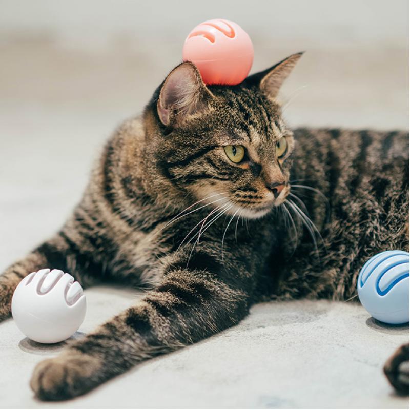 Игровые шарики для кошек от Pidan (Шарик с кошачьей мятой - голубой)