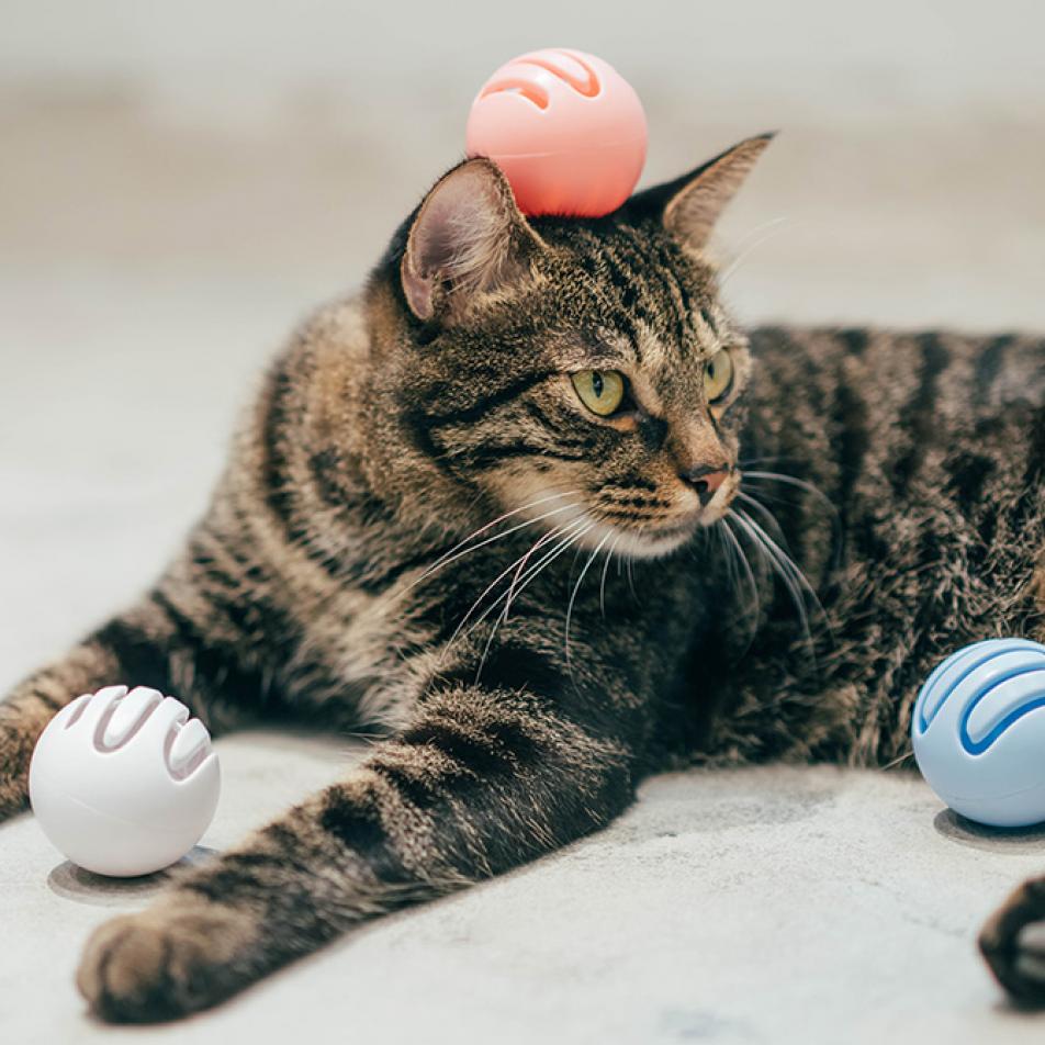 Игровые шарики для кошек от Pidan (Шарик светящийся - белый)