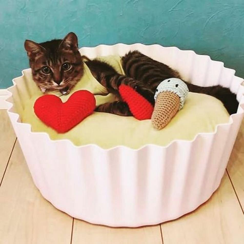 Лежак для кошек Кексик от Pidan